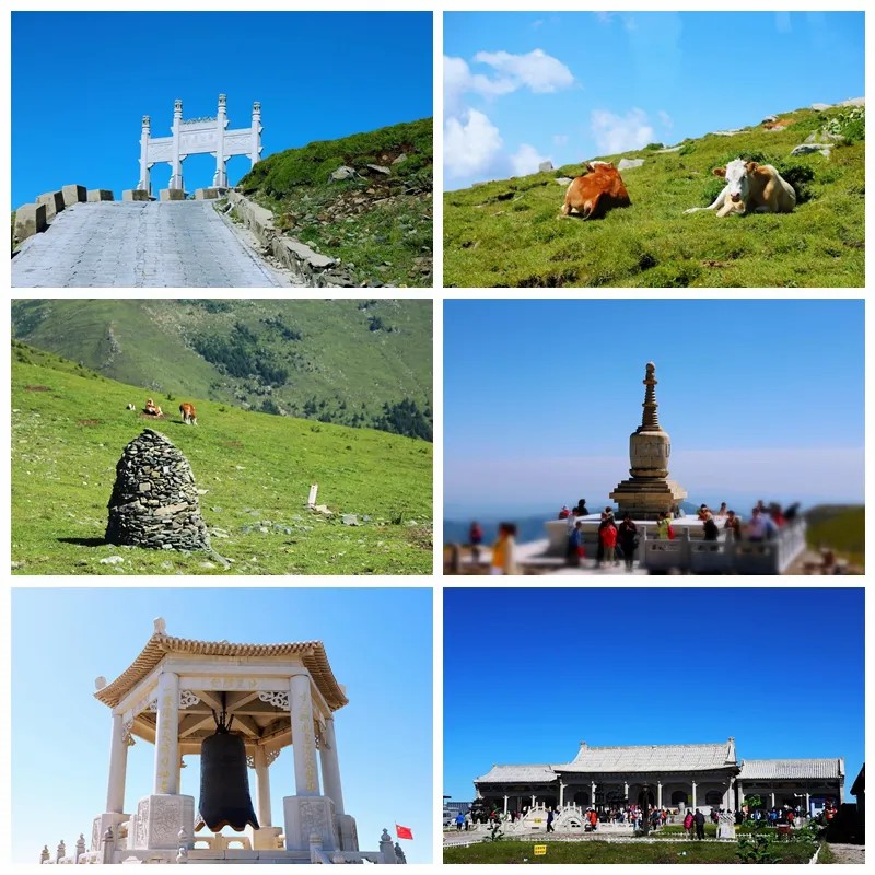 1729330044937836.jpg 1729330044937836.jpg