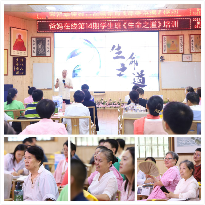 1731815236127052.jpg 1629365427755574.jpg