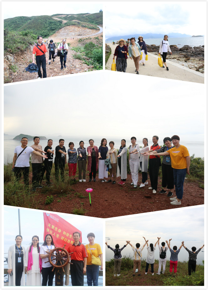 1731977767563316.jpg 1559737676162216.jpg